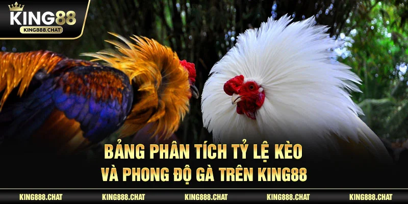 Bảng phân tích tỷ lệ kèo và phong độ gà trên KING88