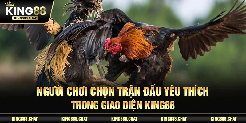 Người chơi chọn trận đấu yêu thích trong giao diện KING88