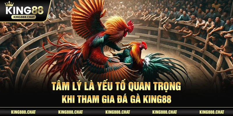 Tâm lý là yếu tố quan trọng khi tham gia đá gà KING88