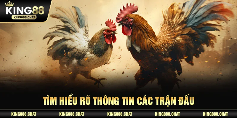 Tìm hiểu rõ thông tin các trận đấu